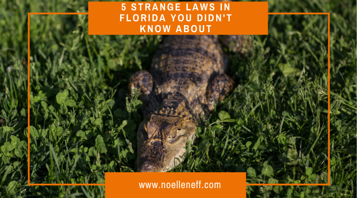 5 Strange Laws In Florida You Didn’t Know About