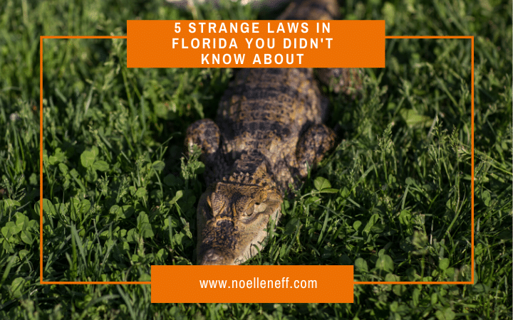 5 Strange Laws In Florida You Didn’t Know About